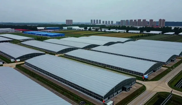 农资使用与维护建议:提升种植效率的关键